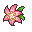 Gracidea Flower
