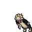 Character sprite