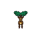 Sawsbucksu