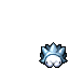 Snom
