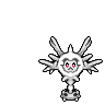 Cursola