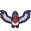 Swellow