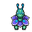 Shiny Meganium