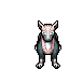 Shiny Boltund
